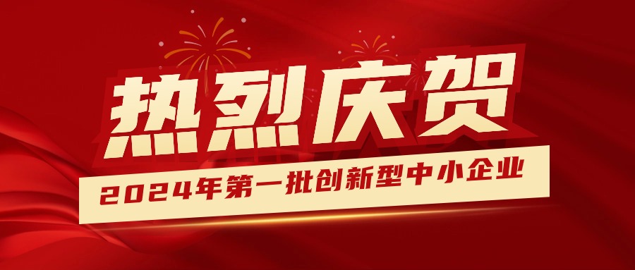 喜報！集團獲認定為2024年第一批創(chuàng)新型中小企業(yè) 