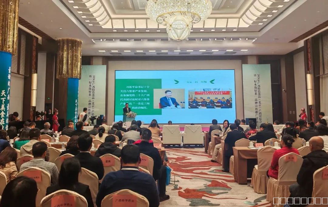 1711853245236 1711853245236